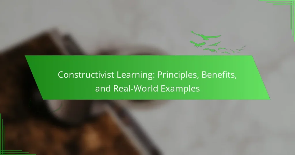 Constructivist Learning: Principles, Benefits, and Real-World Examples