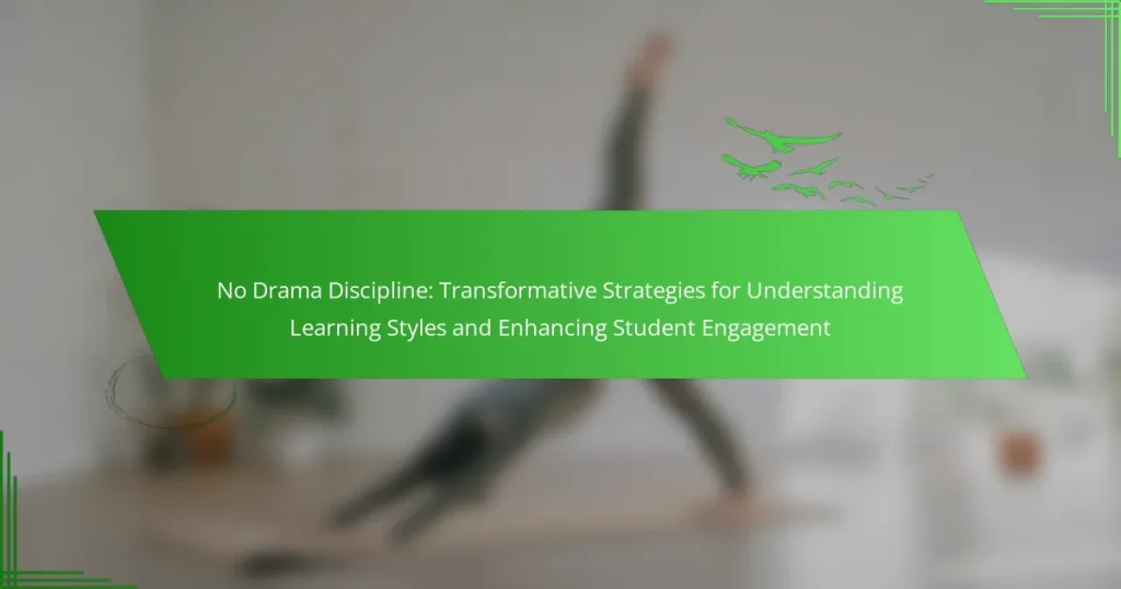 No Drama Discipline: Transformative Strategies for Understanding Learning Styles and Enhancing Student Engagement