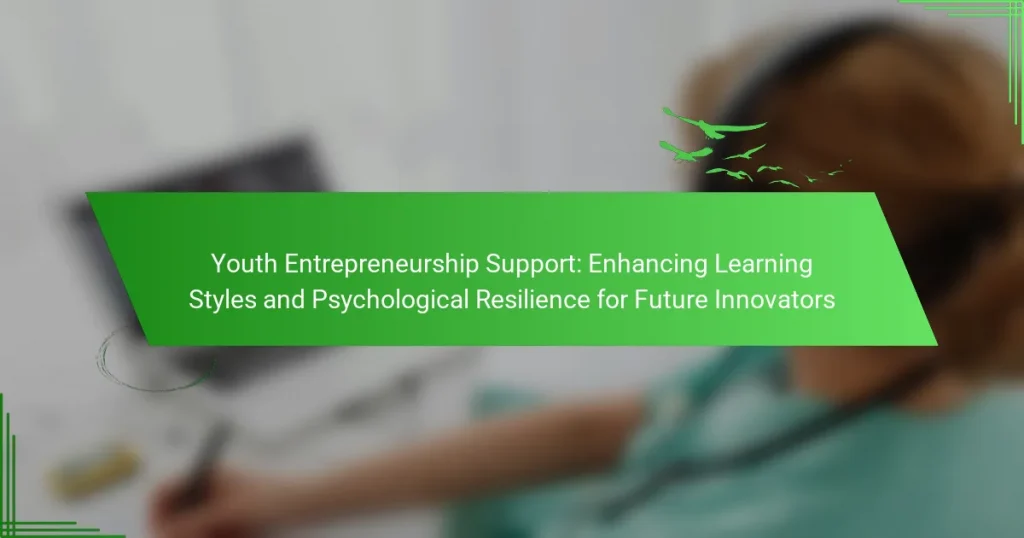 Youth Entrepreneurship Support: Enhancing Learning Styles and Psychological Resilience for Future Innovators