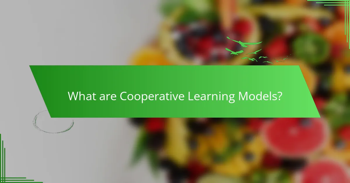 What are Cooperative Learning Models?