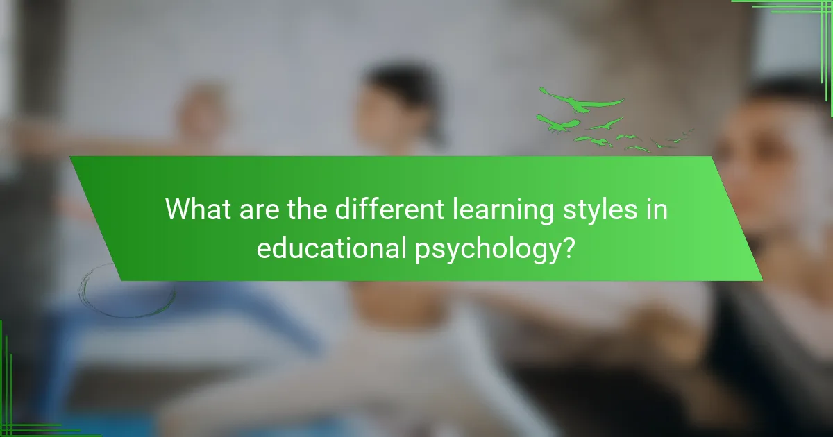 What are the different learning styles in educational psychology?