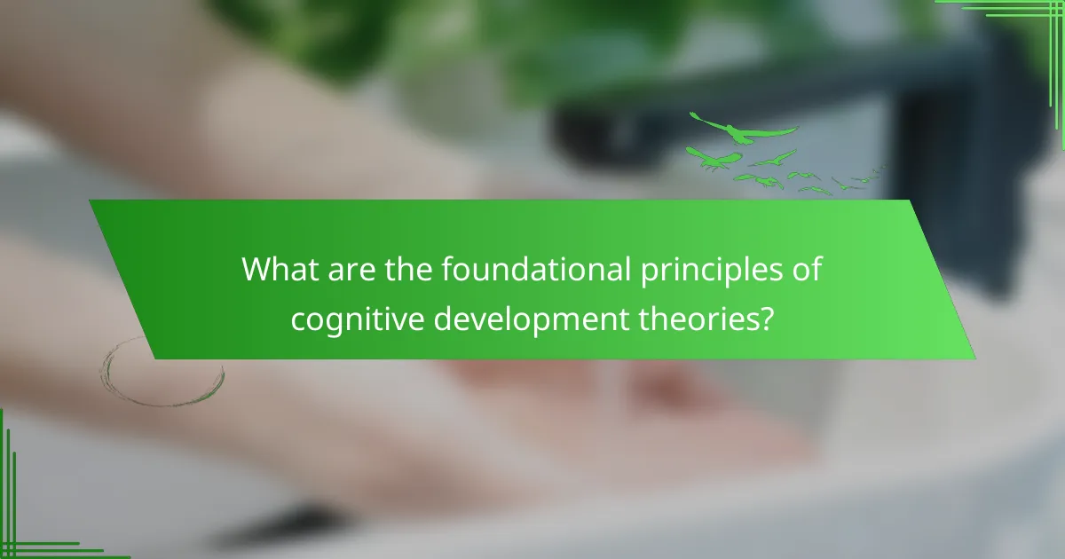 What are the foundational principles of cognitive development theories?
