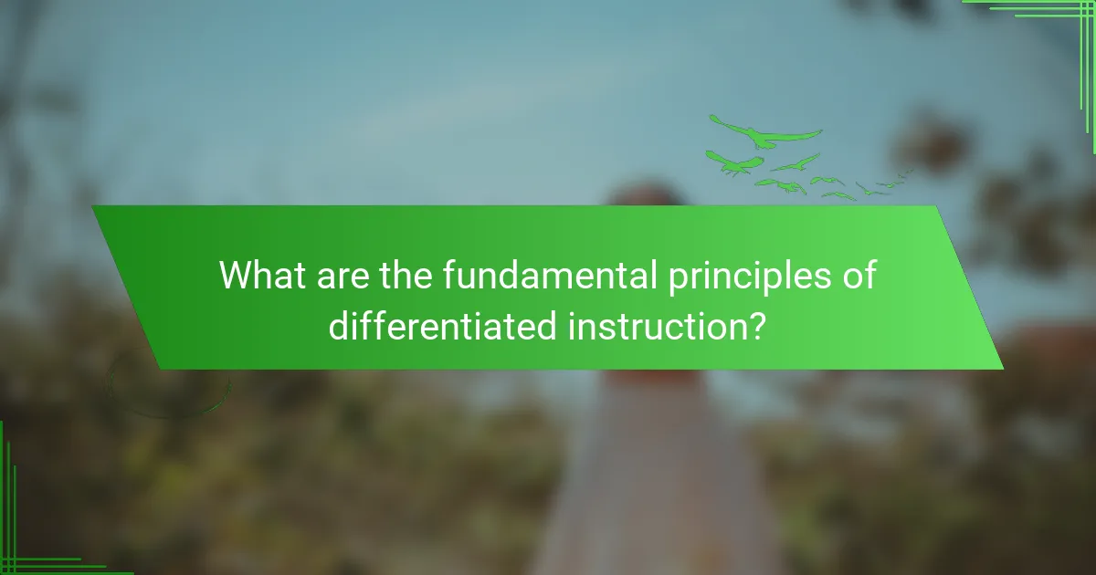 What are the fundamental principles of differentiated instruction?