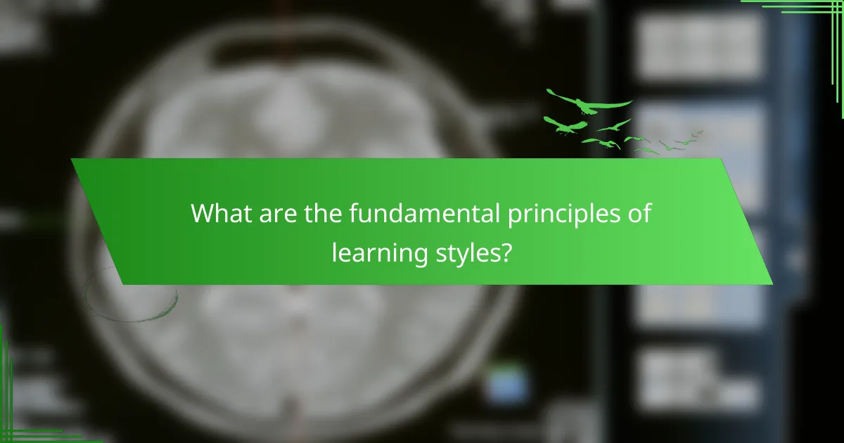 What are the fundamental principles of learning styles?