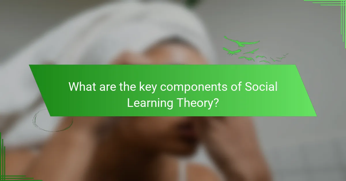 What are the key components of Social Learning Theory?