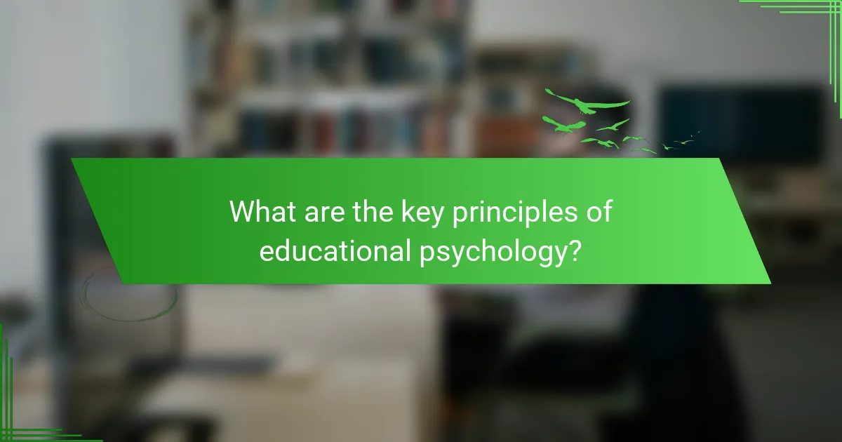 What are the key principles of educational psychology?