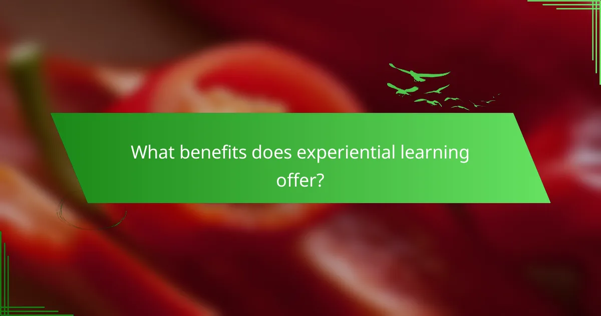 What benefits does experiential learning offer?