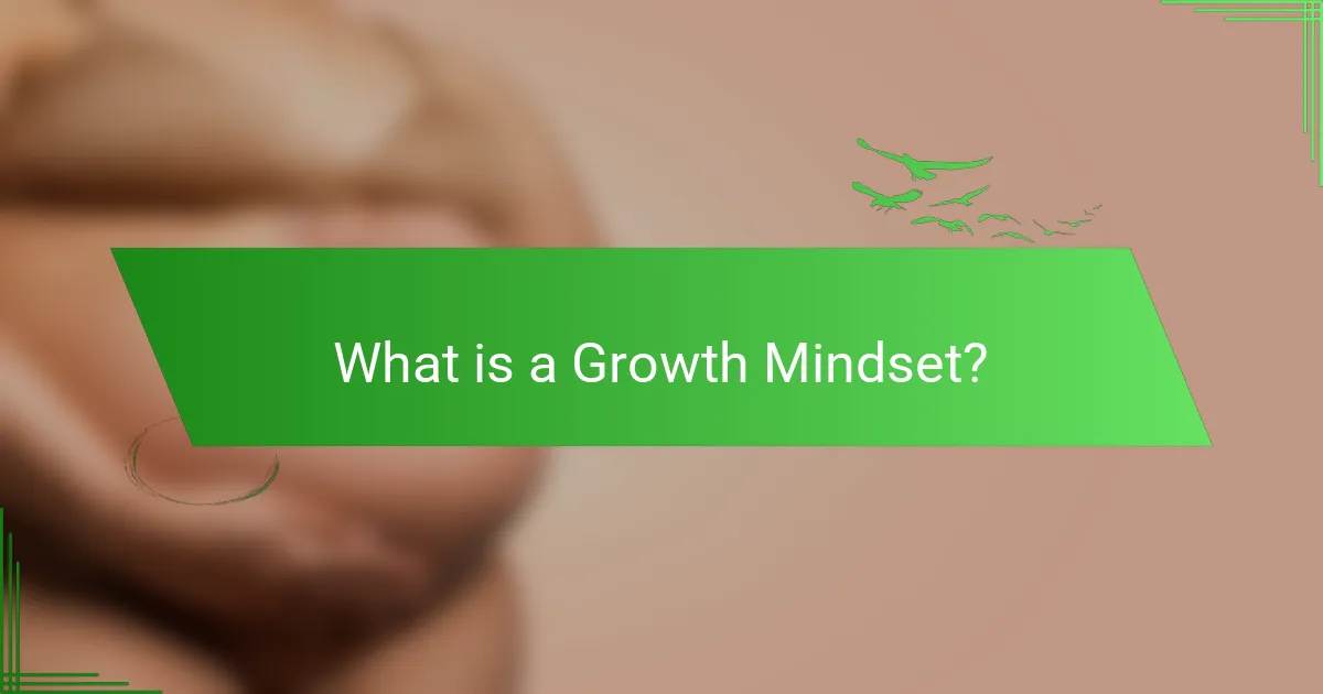 What is a Growth Mindset?