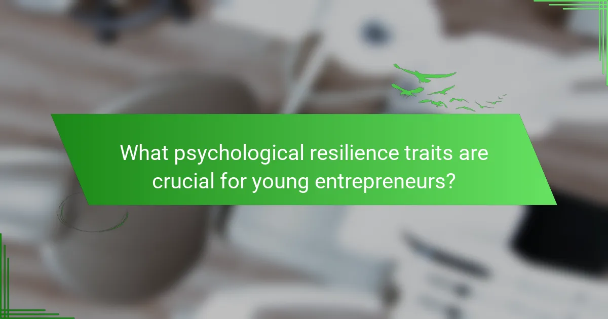 What psychological resilience traits are crucial for young entrepreneurs?